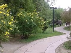 20130518140929-沈阳中山公园