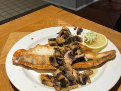-NORDSEE Frankfurt Fisch Franke