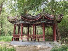 -云岗森林公园