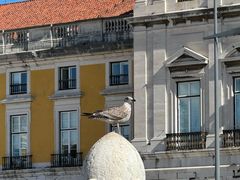 -商业广场(Praça do Comércio)