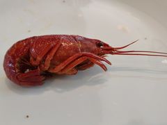 -怡咖啡海鲜自助餐厅(浦东香格里拉店)