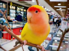 -西安大唐西市博物馆