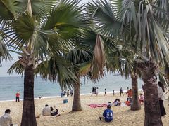 -大梅沙海滨公园