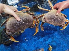 -盒马鲜生(莱蒙都会店)
