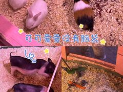 -正佳雨林生态植物园