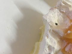 鲜乳魔方-卡滋贝诺动物奶油生日蛋糕(亚太潮尚店)