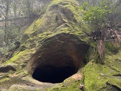 -缙云山景区