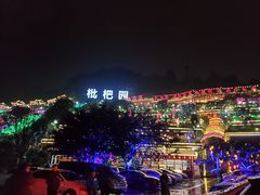 -枇杷园食为鲜火锅(南山店)