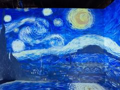 -天津梵高星空艺术馆(天河城旗舰店)