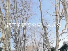 -静安公园(静安寺街道)