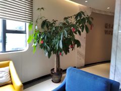 -柏乐口腔医院·舒适化无痛种植牙中心(东盟商务区院)