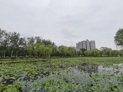 -咸阳湖景区