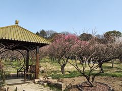 -无锡梅园公园