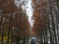 -石湖景区