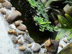 -老屋咖啡