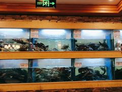 -围龙屋客家食府(福田店)