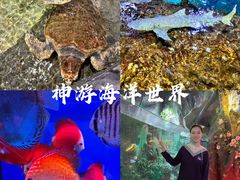 -威海华夏城景区