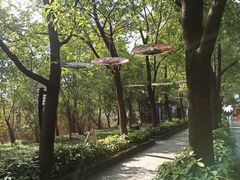 -溱湖国家湿地公园