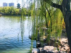 -迎泽公园