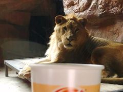 -鄂尔多斯野生动物园