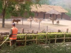 android_upload_pic-石家庄市动物园