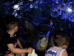 -成都浩海立方海洋公园