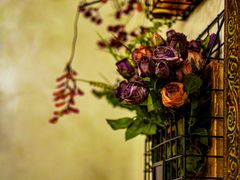 -春风·有糖(崇宁路店)