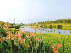 -那考河湿地公园