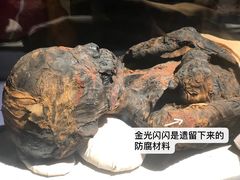-浙江西湖美术馆