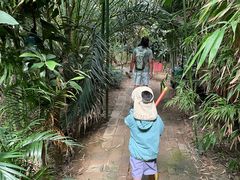 -呀路古热带植物园