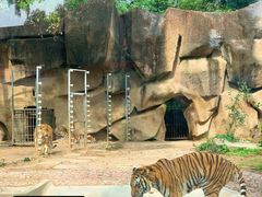 -荆州中山公园动物园