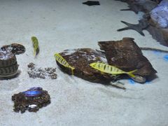 -多彩贵州城极地海洋世界