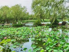 -长江文明馆
