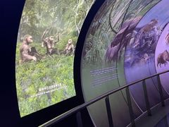 -房山世界地质公园博物馆