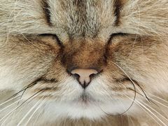 -天虹购物中心(深圳龙华店)