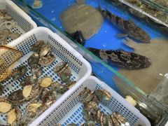 -王四营海鲜市场