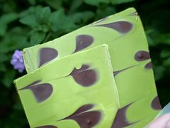 -Laderach 莱德拉(上海环贸iapm店)