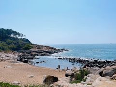 -广东惠东海龟国家级自然保护区