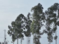 -白鹭湾湿地公园