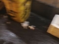 -望江门227龙虾馆