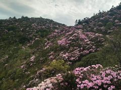 -井冈山风景名胜区