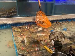 -一方渔歌蒸汽海鲜自助(文化路万达广场店)