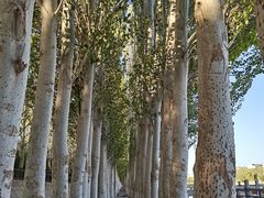 -党河风情线国家水利风景区