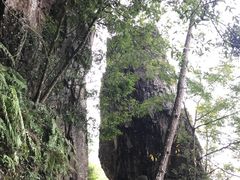 -福建天门山