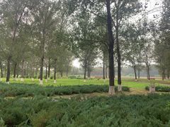 -东郊湿地公园
