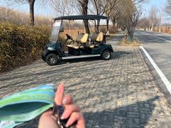 -泗洪洪泽湖湿地景区