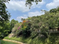 -红花湖景区