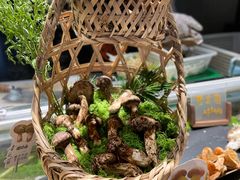 -菌自由丨野生菌火锅特色庭院餐厅(丽江古城店)