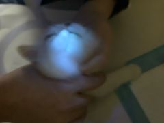 -宠颐生维康宠物医院(金丰店)