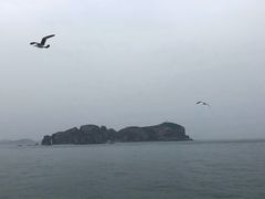 -海驴岛(荣成市)